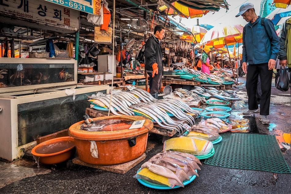 チャガルチ魚市場-釜山-10